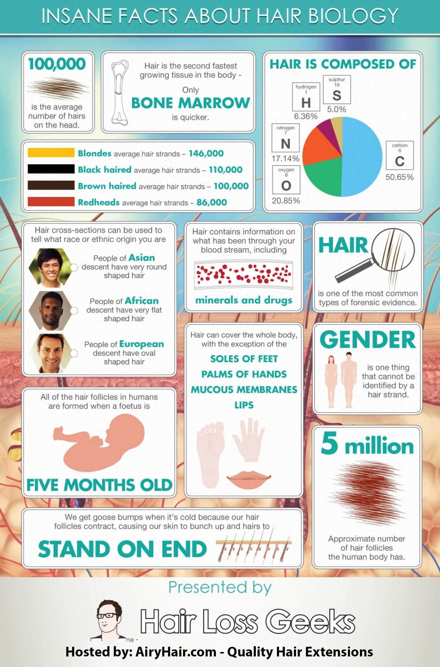 Top 10 Facts About Hair Biology
