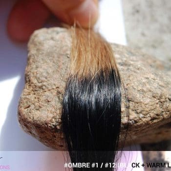 #1 / #12 (Black + Warm Light Brown) Ombré Hair Colors