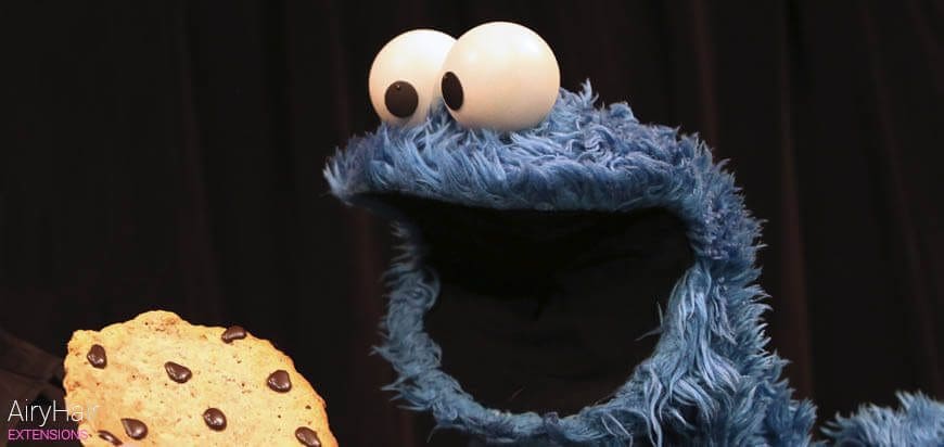 Cookie Monster A Cookie Halloween Costume Idea