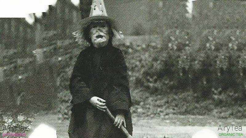 Vintage witch Halloween costume