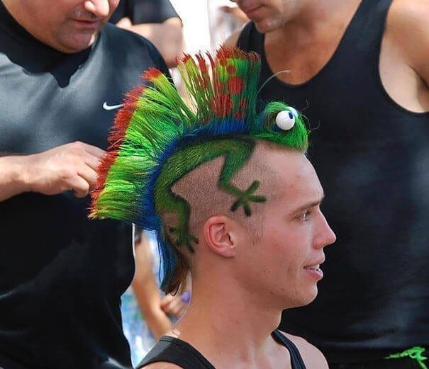 Amazing Colored Gecko Haircut