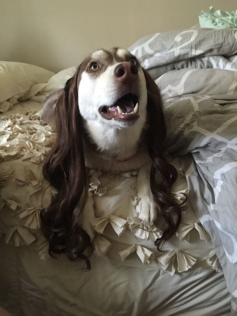 3 Hilarious Hair Extension Pictures That Will Make You Laugh