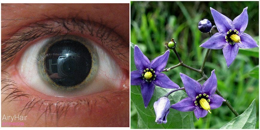 dangerous-beauty-nigthshade dangerous-beauty-nigthshade