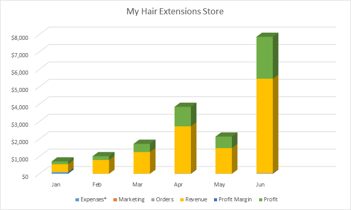 Hair Business Plan Example (A)