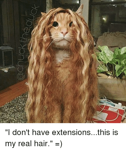 hair extensions jokes