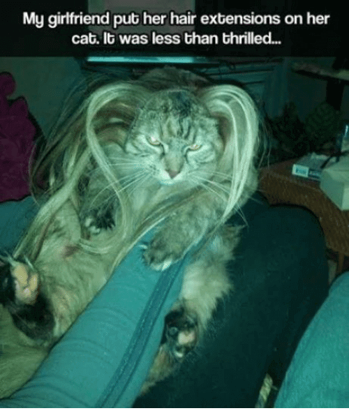 Funny Hair Extensions Meme