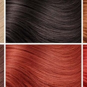 Complete Hair Extensions & Dyeing Color Chart (Color Palette Guide)