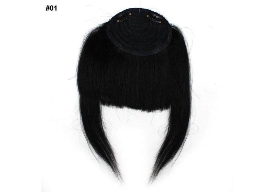 Black Clip-In Real Human Hair Wig / Fringe
