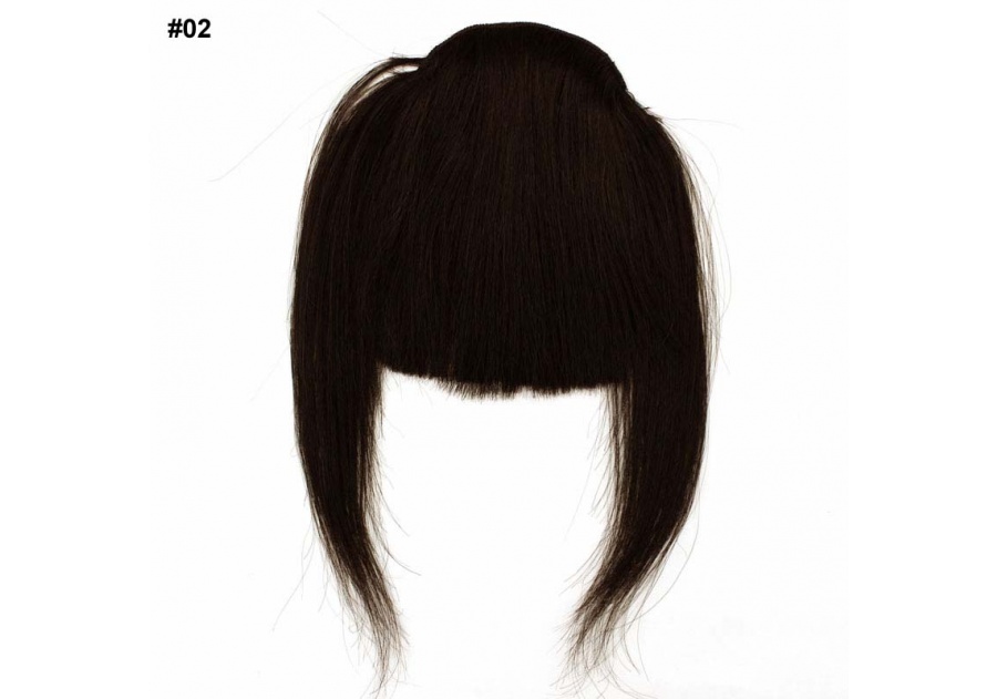 Black Clip-In Real Human Hair Wig / Fringe