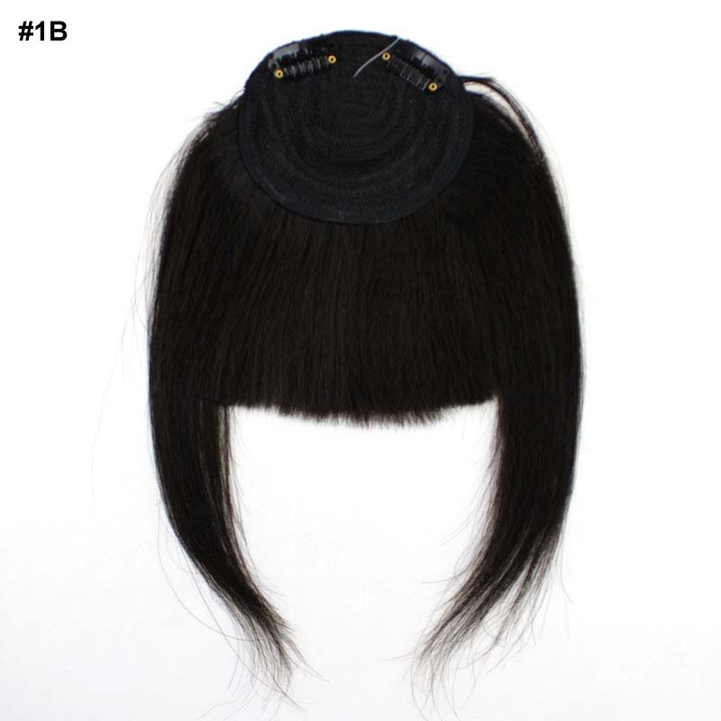 Buy ClipIn Real Human Hair Wig / Fringe